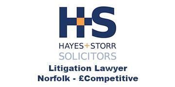 Hayes&Storr_Litigation