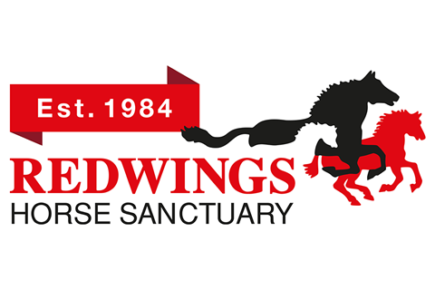 Redwings Logo