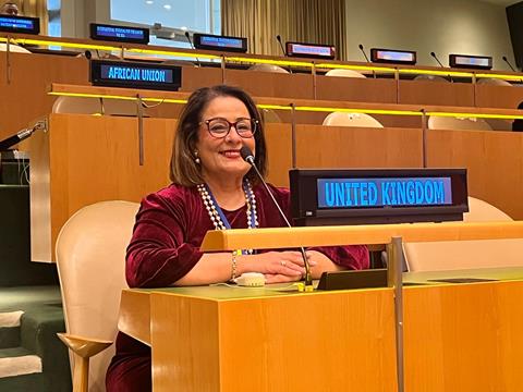 Kaly Kaul at UN
