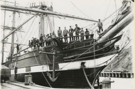 Corona at a dock in NZ