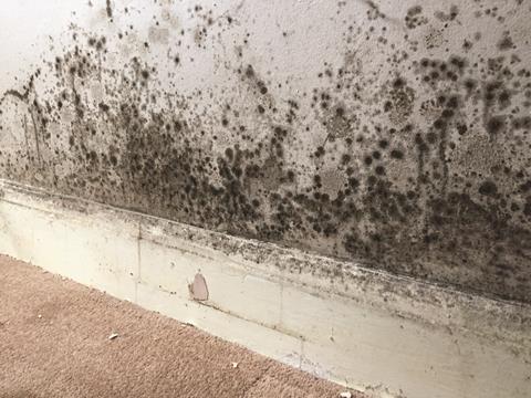 Mould