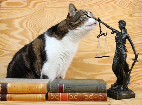 A cat and the lady justice figure