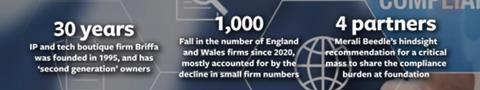Boutique law firms