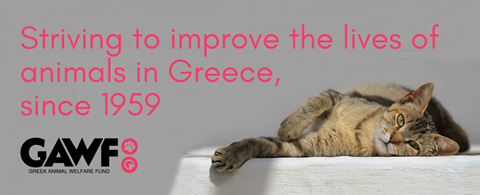 GAWF (Greek Animal Welfare Fund) | Charities | Law Gazette