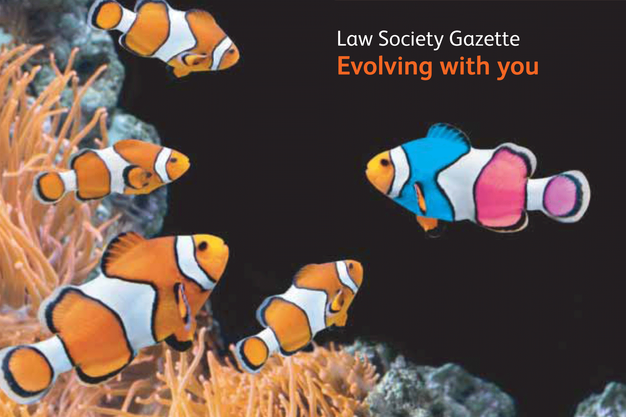 Nemo evolving with gazette