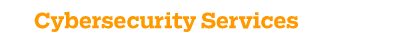 Cyber services orange