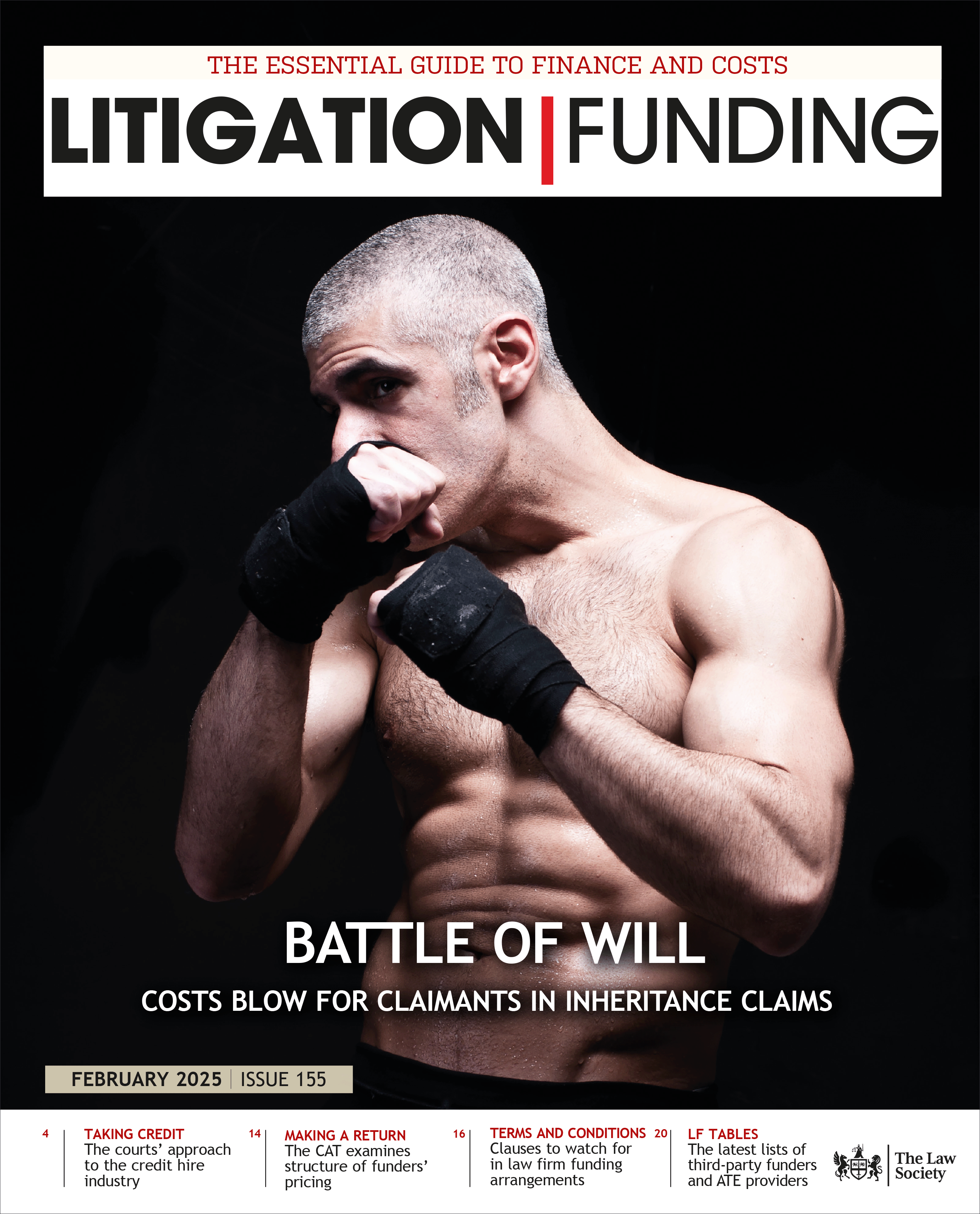 Litigation Funding Feb 2025