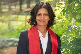 Former TV executive picked to chair LSB