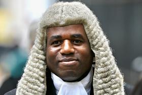 Lammy rebrands and expands problem-solving family court