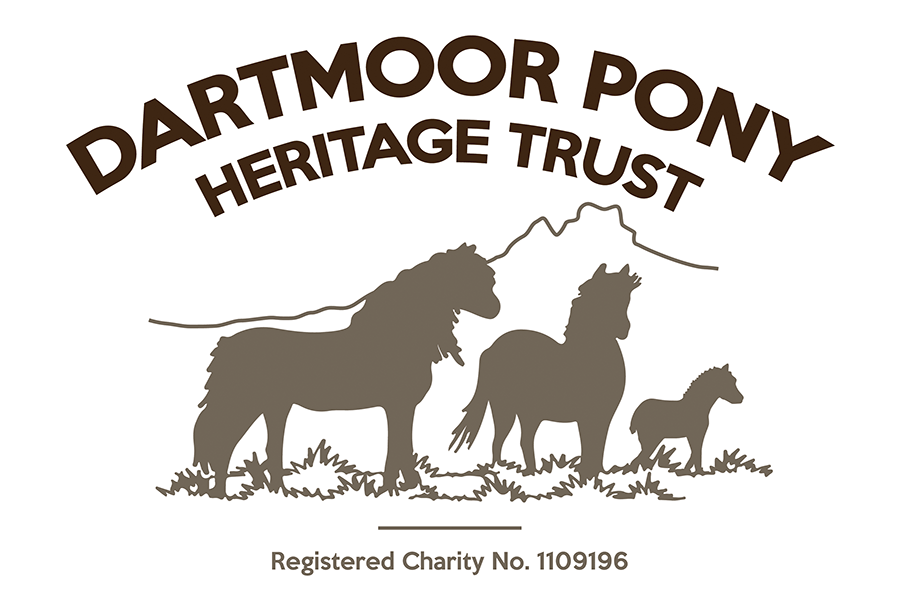 Dartmoor Pony HT_900x600 logo